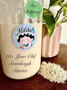 Sourdough Starter 'Hilda' | 20+ Years Old | Practically Invincible | Dehydrated - Picture 1 of 8