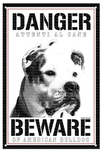AMERICAN BULLDOG TARGA CARTELLO ATTENTI AL CANE BEWARE OF DANGER METALLO  - Bild 1 von 1