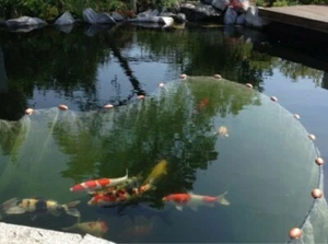 Knotenlos Zugnetz-Schleppnetz-Fischnetz- 5m x 1,50m MW 10mm # Karpfen Koi* - Bild 1 von 6