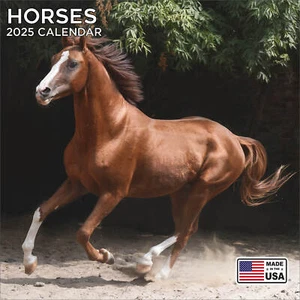 Pferdekalender 2025 - Tier Wandkalender - Made in USA! - Bild 1 von 8