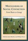Mechanisms Of Social Connection From Brain To Grou