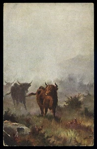 cartolina d'epoca-post card-animali TORI CATTLE - Imagen 1 de 1