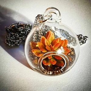 COLLAR TERRARIO LLAMA OTOÑO botella jardín planta fabulosa SUCULENTA - Imagen 1 de 1