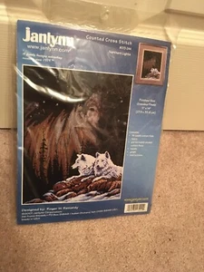 Janlynn NORTHERN LIGHTS Counted Cross Stitch Kit Unopened #13-244 - Picture 1 of 5