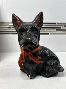 Antico TERRIER SCOZZESE in gesso - Foto 1 di 5