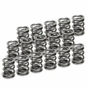 Juego de 16 resortes de doble válvula Supertech para Honda B16A/B17A/B18C - Imagen 1 de 1