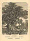 Acre de Dieu, par Samuel Read. Poème, église, cimetière, imprimé antique vintage 1876.