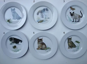 Katzenteller *Teller* Katze* Kinderteller *Sammelteller - Picture 1 of 1
