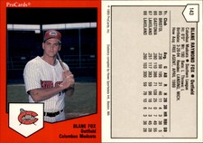 Blane Fox 1989 ProCards Minor League Team Sets #143 Card *AutographDen*