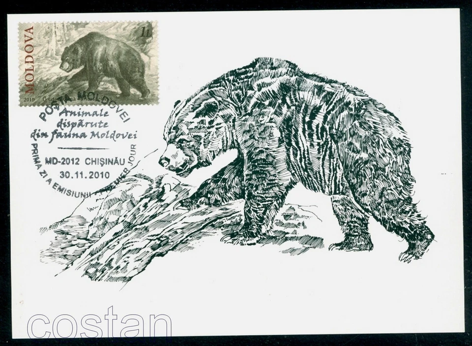 2010 Cave bear,Höhlenbär,Prehistoric and extincted animals,Moldova,FDC Maxi card - Image 1 of 1