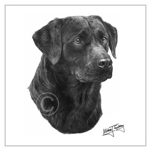 Mike Sibley Black Lab dog breed Labrador greeting card happy birthday thank you - Picture 1 of 3