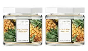 ๐(2) ScentWorx Slatkin + Co. Pineapple Passion 2-Wick Candle | Fruity Tropical - Picture 1 of 4