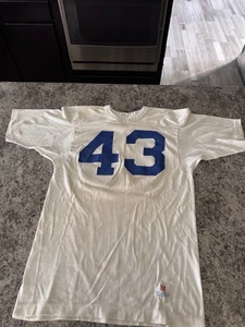 Vintage Champion Made In USA Football Jersey #43 Size Medium - Picture 1 of 6