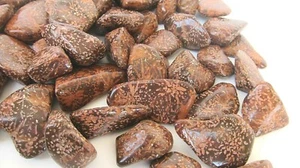 6X Star Jasper Tumbled Stone 25-30mm Healing Crystal Reiki Creativity Grounds - Picture 1 of 2