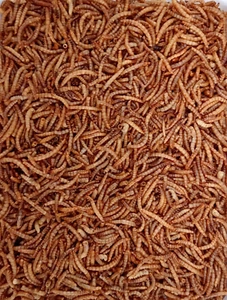 1000 ml. Mehlwürmer getrocknet für Schildkröten Vögel Fische Nager Koi - Bild 1 von 1