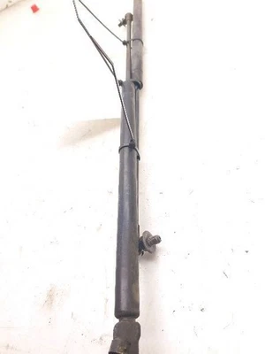 Toyota Sequoia SR5 2002 puntal capó único  Foto 1 de 4