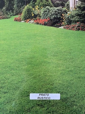 PRATO RUSTICO KG 25 Sementi Prato Professionale - Immagine 1 di 2