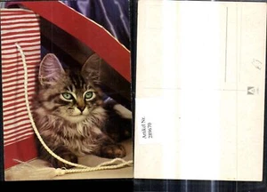 289670,Katze m. Schnur Tier  - Picture 1 of 1