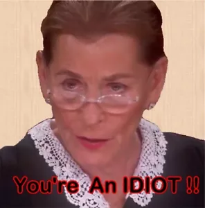 Judge Judy - Calamita per frigorifero Sei un idiota - Foto 1 di 1