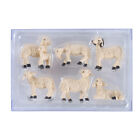  6 sztuk żywicy mikro krajobraz owca ornament zwierzę figurka zabawka
