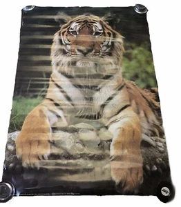 1982 Tiger Poster Verkerke 24" L x 36" H EDE Vintage Holland nie geöffnet RAR - Bild 1 von 6