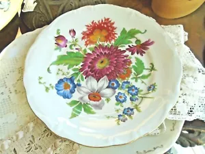 10" Dinner -BAYREUTH BAVARIA GLORIA BAVARIA HANDWORK PLATE FLORAL Multi Color - Picture 1 of 11