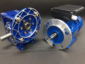 Worm Gear Electric Motor 1hp Strong Torque Speed Reduction with output shaft - Foto 1 di 5