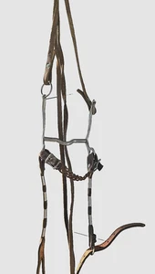 Vintage Horse Bit Curb & Reins Stainless Japan READ - Picture 1 of 24