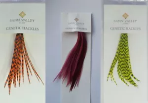 Paquetes de cuello Bann Valley Metz (elección masiva de color) * existencias 2024 * - Imagen 1 de 1