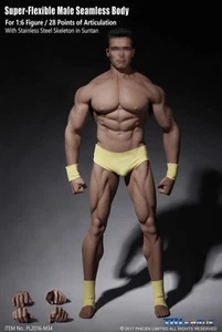 TBLeague PL2016-M34 1/6 Modèle Corps Musculaire Sans Couture Homme Super Forte Flexible - Photo 1/12