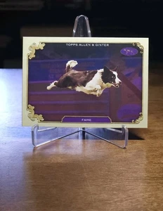 2024 Topps Allen & Ginter - Best in Show - 12 Card Lot - See Description  - Picture 1 of 12