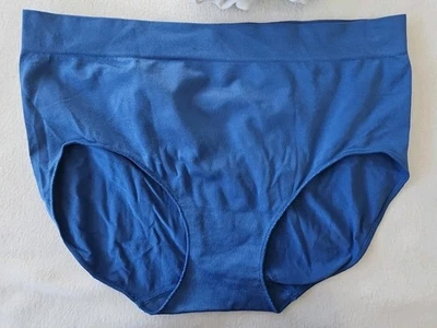 NUEVO Paquete de 5 calzoncillos Carole Hochman GRANDES sin costuras sedosos suaves cobertura completa tiro medio Foto 1 de 4