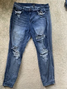 Judy Blue 20W Denim Boyfriend Fit Distressed Jeans Women's Skinny Casual Leisure - Picture 1 of 9