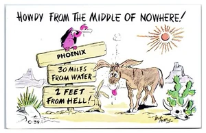 Postal de novedad de humor cómic Howdy From the Middle of Nowhere Phoenix - Imagen 1 de 2