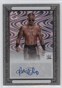 Imagen fotogénica WWE 2024 firmas perfectas FOTL remolino/13 Carmelo Hayes automático - Imagen 1 de 3