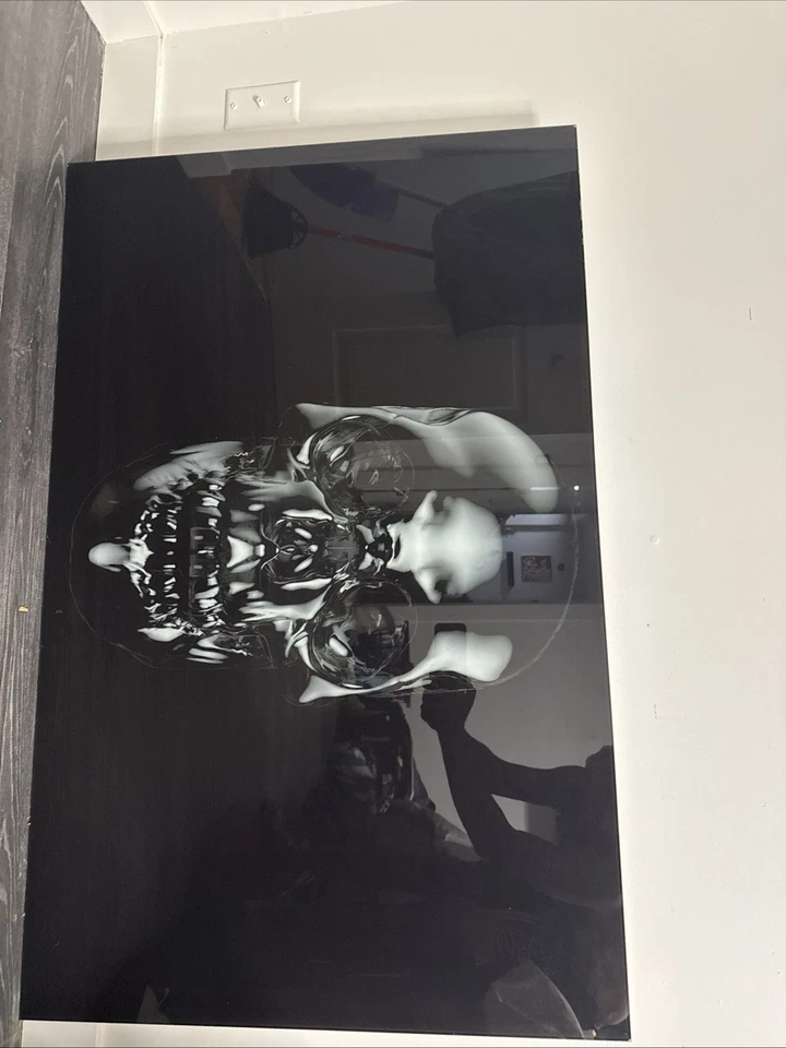 Arte de pared grande con calavera 3D vidrio negro gótico decoración moderna 43x27,5” obra de arte enmarcada Foto 1 de 2