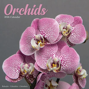Orchids 2026 Calendar Flower Gift Wall 15% OFF MULTI ORDERS - Picture 1 of 8
