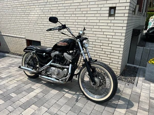 Harley Sportster 883 Hugger im gut erhaltenen Zustand aus Frauenhand - Bild 1 von 8