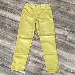 NWT Soft Surroundings Ultimate Denim Straight Leg Stretch Pull On Jeans Mustard - Picture 1 of 8