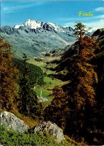 Flüela Davos Flüelatal mit Wiẞhorn 3085 m Vintage Postcard - Picture 1 of 2