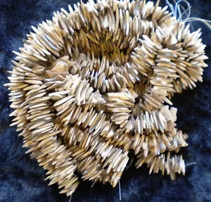 NEW - CHOCOLATE COCONUT SHELL BEADS - NEW - Picture 1 of 3