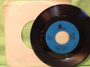 Anthony Wilson - Wonderful World / Classy Lady - Amherst 7" 45 RPM Record - Imagen 1 de 3