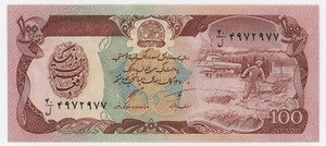 Afghanistan 100 Afghanis SH 1370 1991 Pick 58.c UNC Uncirculated Banknote - Picture 1 of 2
