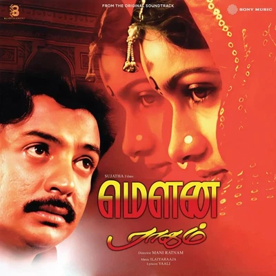 4 Lp Vinyl Combo Set  - Rare Bollywood Tamil Lp Vinyl Record - Image 1 of 4