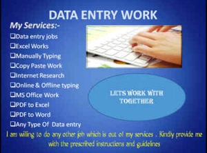 I Will Do Perfect Data Entry And Web Research - Picture 1 of 5