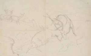 C. DEIKER (1836-1892), Cervi combattenti, matita animali romantici 1850-1899 - Foto 1 di 5