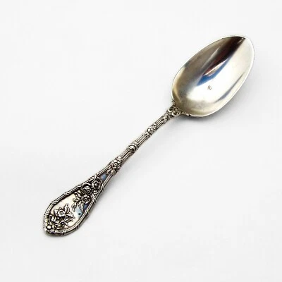 Cuchara de Papanicolaou Dauphin Durgin plata esterlina 1897 mono Fowler Foto 1 de 4