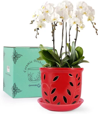Orchid Pot with Holes & Saucer 6.1 In, Large Orchid Pot for Repotting Plant Flow - Image 1 of 4