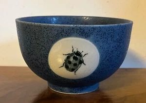 Art Pottery Bowl Blue & White Glaze Butterfly Lady Bug Dragon Fly Bee Insects - Picture 1 of 11