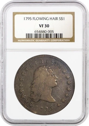 1795 $1 2 Leaves Flowing Hair Silver Dollar B-1 BB-21 NGC VF30 Very Fine Coin Cover